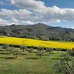 Podere Molinaccio パニカーレ