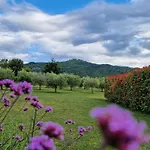 ヴィラ Podere Molinaccio