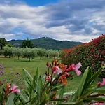 Podere Molinaccio ヴィラ *