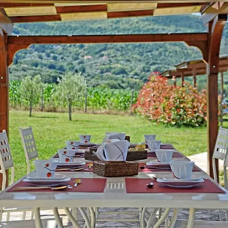 Podere Molinaccio