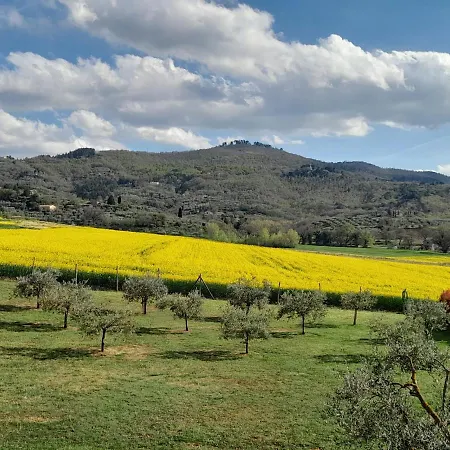 Podere Molinaccio 파니칼레