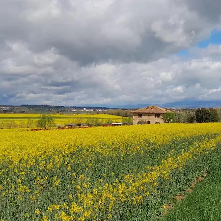 Podere Molinaccio *