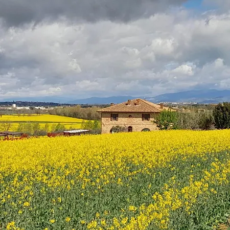 Podere Molinaccio *