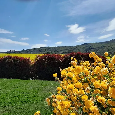 Podere Molinaccio * Паникале
