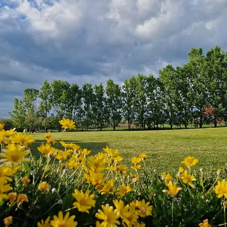 فيلة Podere Molinaccio *