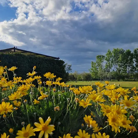 Podere Molinaccio Паникале