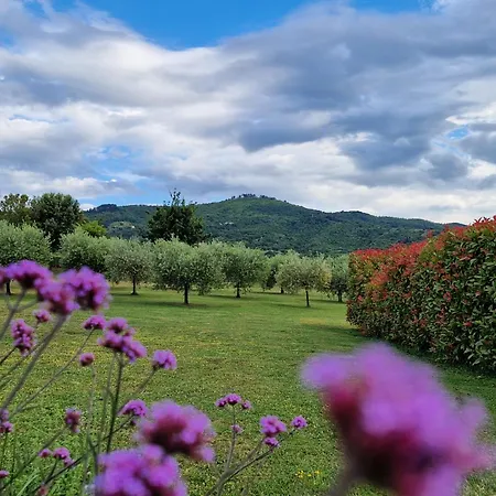 Βίλα Podere Molinaccio