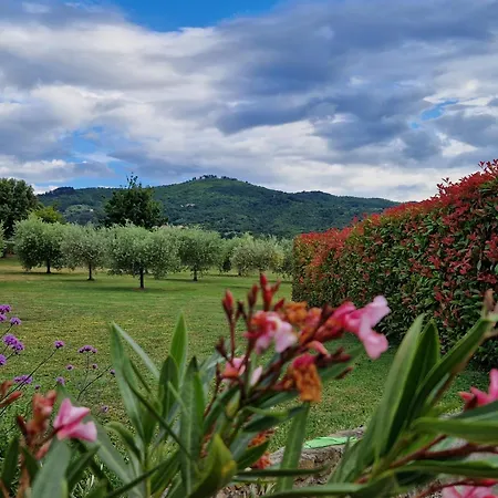 Podere Molinaccio فيلة *