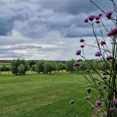 Podere Molinaccio * Panicale