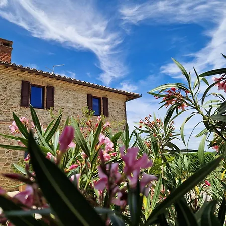 Podere Molinaccio
