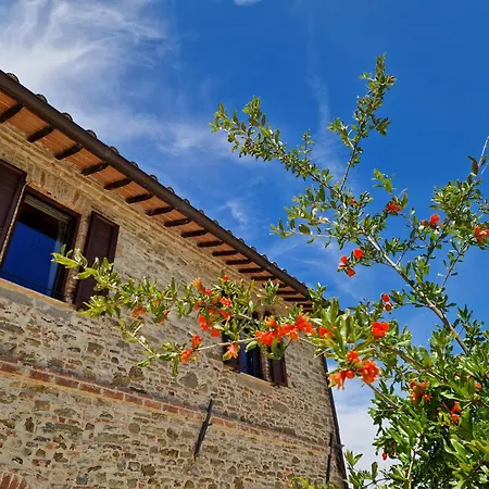 ヴィラ Podere Molinaccio *