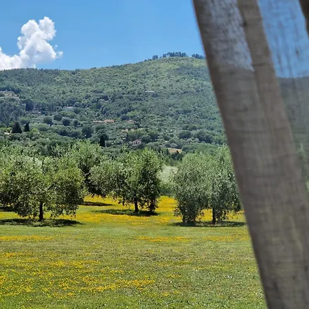 Podere Molinaccio וילה פניקאלה