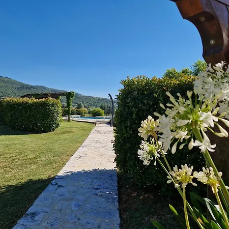 Podere Molinaccio *