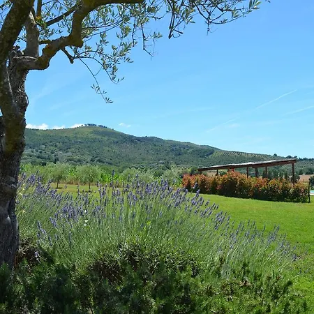 فيلة Podere Molinaccio بانيكالي