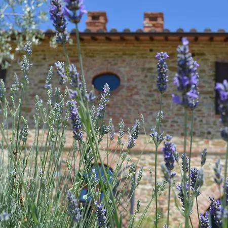 Villa Podere Molinaccio