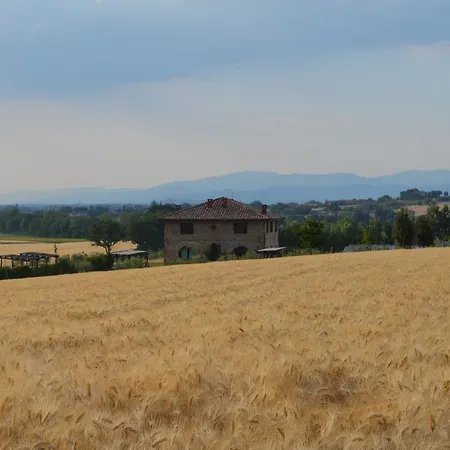 Βίλα Podere Molinaccio *