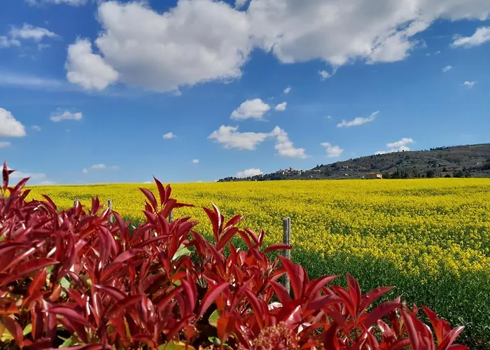 Podere Molinaccio * パニカーレ