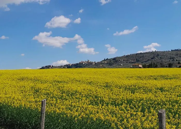 Podere Molinaccio Panicale