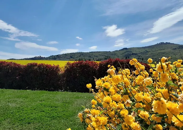 Podere Molinaccio * Panicale