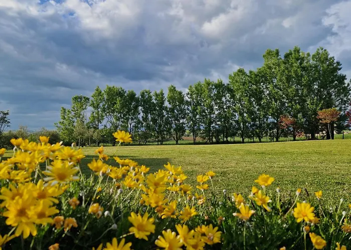 ヴィラ Podere Molinaccio *