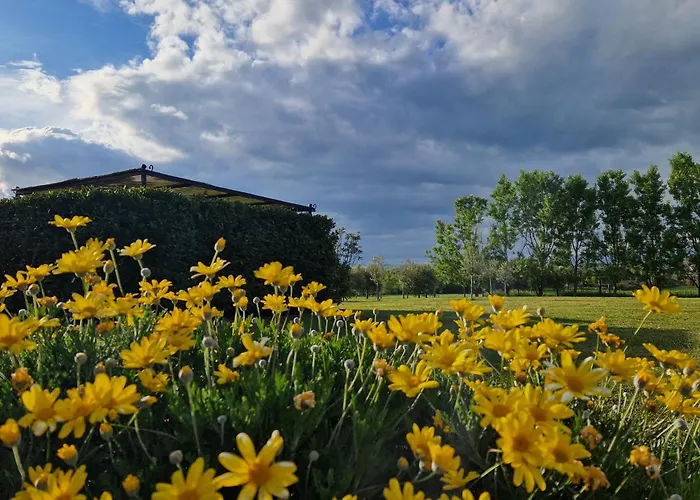 Podere Molinaccio Panicale