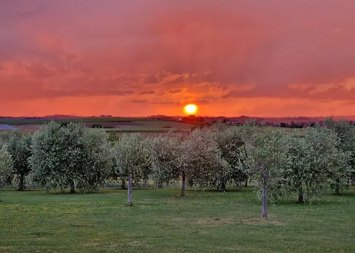 Podere Molinaccio Villa