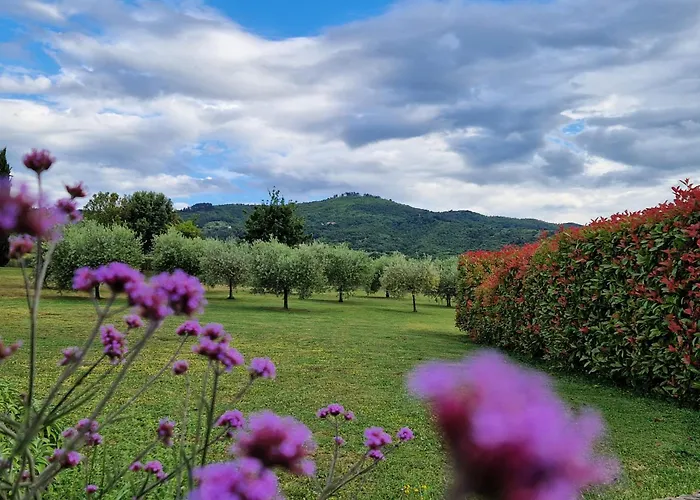 Villa Podere Molinaccio