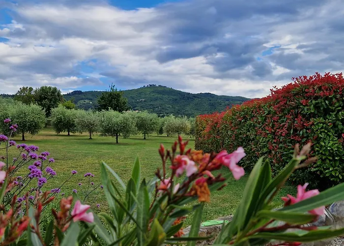 Podere Molinaccio Villa *