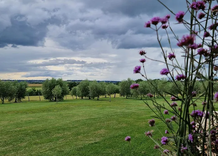 Podere Molinaccio * Panicale