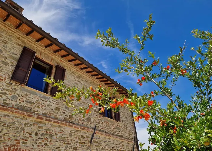 ヴィラ Podere Molinaccio *