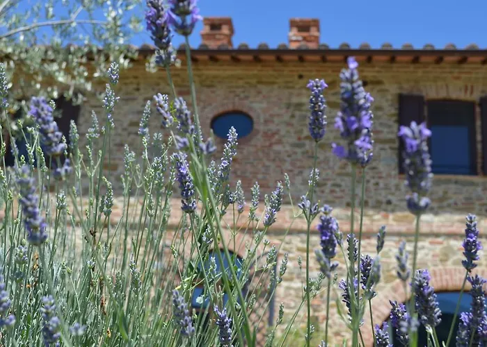 Villa Podere Molinaccio